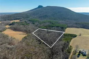 273 Olde Pilot Trail, Pilot Mountain, NC 27041 - Photo 23