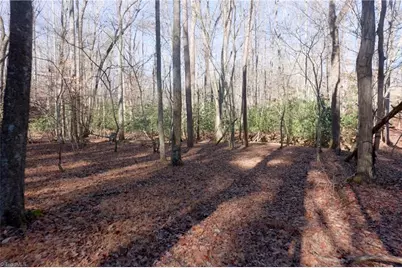 273 Olde Pilot Trail, Pilot Mountain, NC 27041 - Photo 35