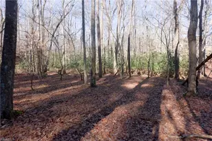 273 Olde Pilot Trail, Pilot Mountain, NC 27041 - Photo 35