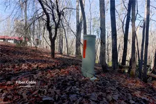 273 Olde Pilot Trail, Pilot Mountain, NC 27041 - Photo 37