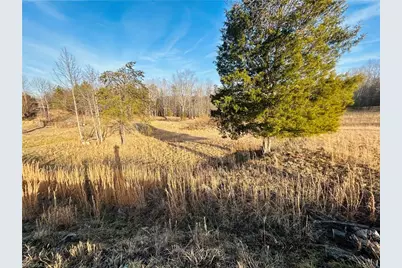 Tbd Asbury Road, Mount Airy, NC 27030 - Photo 7