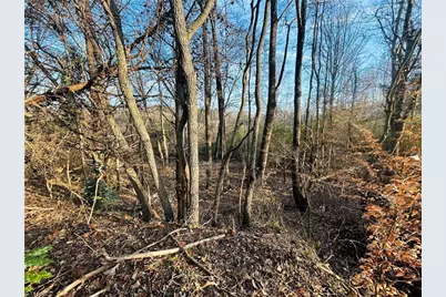 Tbd Asbury Road, Mount Airy, NC 27030 - Photo 17