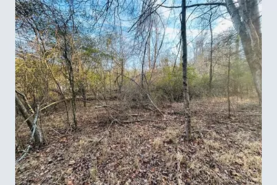 Tbd Asbury Road, Mount Airy, NC 27030 - Photo 5