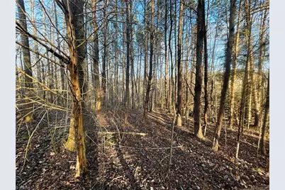 Tbd Asbury Road, Mount Airy, NC 27030 - Photo 11