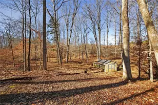 2973 Bridge Point Dr, Sophia, NC 27350 - Photo 45