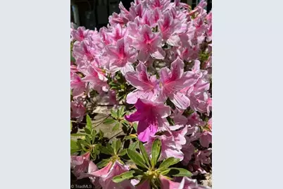 920 Ransom Road, Winston-Salem, NC 27106 - Photo 47