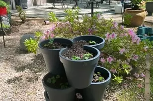 920 Ransom Rd, Winston-Salem, NC 27106 - Photo 41