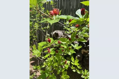 920 Ransom Road, Winston-Salem, NC 27106 - Photo 45