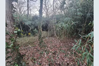 0 Davis Street, Reidsville, NC 27320 - Photo 3