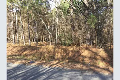 0 Lambert Road, Graham, NC 27253 - Photo 1