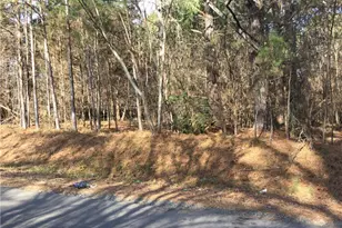 0 Lambert Rd, Graham, NC 27253 - Photo 1