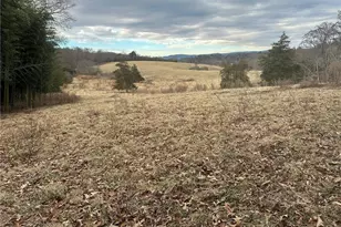 Tbd Old Offen Po Rd, Traphill, NC 28685 - Photo 1