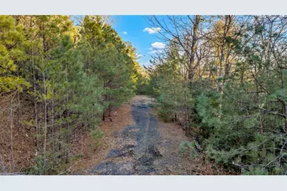 Tbd Lump Road, Purlear, NC 28665 - Photo 15