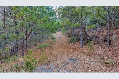 Tbd Lump Road, Purlear, NC 28665 - Photo 11