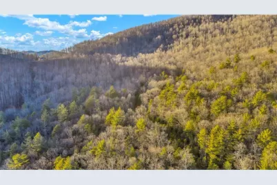 Tbd Lump Road, Purlear, NC 28665 - Photo 25