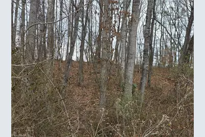 0 Nc Highway 89 W, Westfield, NC 27053 - Photo 5