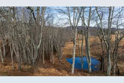 20 Busic Ridge, Sparta, NC 28675 - Photo 49