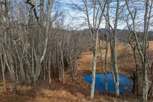 20 Busic Ridge, Sparta, NC 28675 - Photo 49