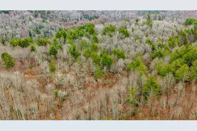 Tbd Gentry Hill Lane, Laurel Springs, NC 28644 - Photo 3