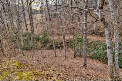 157 Noahs Ridge, Fleetwood, NC 28626 - Photo 49