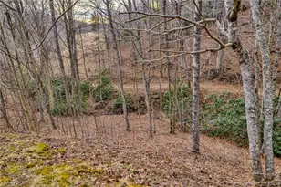 157 Noahs Ridge, Fleetwood, NC 28626 - Photo 49