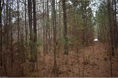 257 Piney Grove Church Road, Siler City, NC 27344 - Photo 15