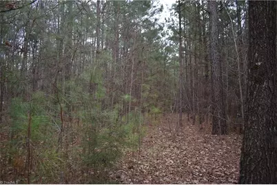 257 Piney Grove Church Road, Siler City, NC 27344 - Photo 13