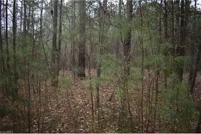 257 Piney Grove Church Road, Siler City, NC 27344 - Photo 5