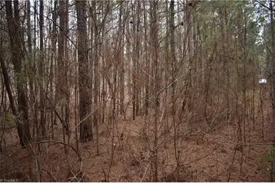 257 Piney Grove Church Road, Siler City, NC 27344 - Photo 3