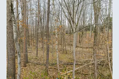 00 Seay Drive, Advance, NC 27006 - Photo 23