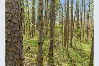 000 Seay Drive, Advance, NC 27006 - Photo 21