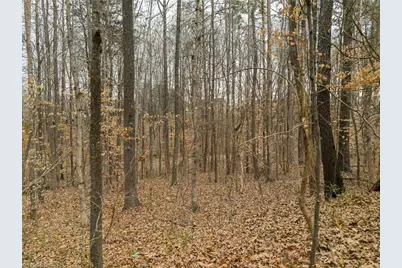 000 Seay Drive, Advance, NC 27006 - Photo 19