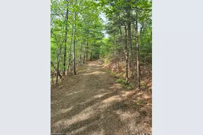 00 Summit Road, Purlear, NC 28665 - Photo 9