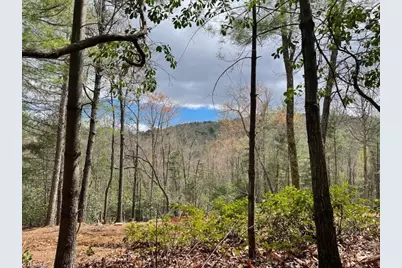 00 Summit Road, Purlear, NC 28665 - Photo 5