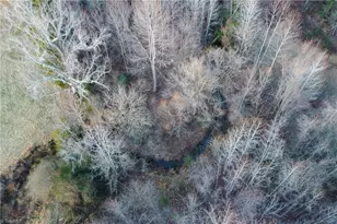 3180 Williston Rd, Walkertown, NC 27051 - Photo 29