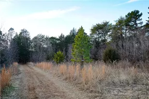 3180 Williston Rd, Walkertown, NC 27051 - Photo 19