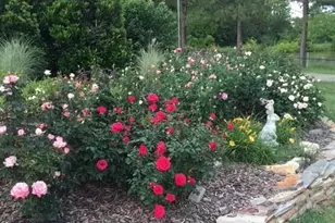 1457 Altamahaw Union Ridge Rd, Burlington, NC 27217 - Photo 29