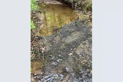 0 Sheets Trail, Germanton, NC 27019 - Photo 5