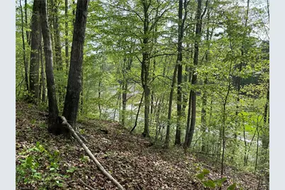 0 Sheets Trail, Germanton, NC 27019 - Photo 9