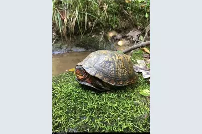 0 Sheets Trail, Germanton, NC 27019 - Photo 23