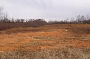 1015 CC Camp Rd, Elkin, NC 28621 - Photo 3