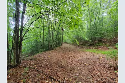 Tbd Taylorsville Road, Granite Falls, NC 28645 - Photo 1