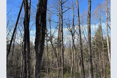 Tbd (Lot 8) Woodland Ridge, Lansing, NC 28643 - Photo 3