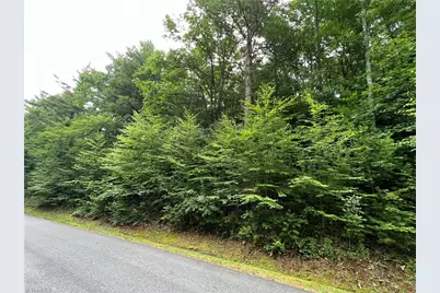 Tbd (Lot 8) Woodland Ridge, Lansing, NC 28643 - Photo 5
