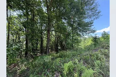 Tbd Highland North Road, North Wilkesboro, NC 28659 - Photo 23