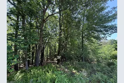 Tbd Highland North Road, North Wilkesboro, NC 28659 - Photo 23