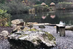 1158 Staghorn Rd, Purlear, NC 28665 - Photo 47