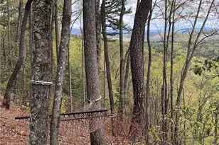 1158 Staghorn Rd, Purlear, NC 28665 - Photo 41