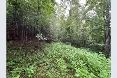 Tbd Staghorn Road, Purlear, NC 28665 - Photo 19