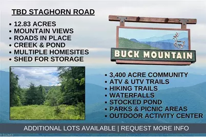 Tbd Staghorn Road, Purlear, NC 28665 - Photo 1